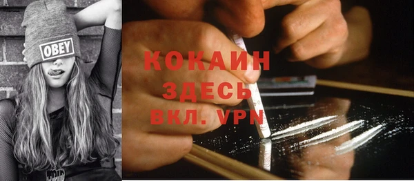 ПСИЛОЦИБИНОВЫЕ ГРИБЫ Белокуриха